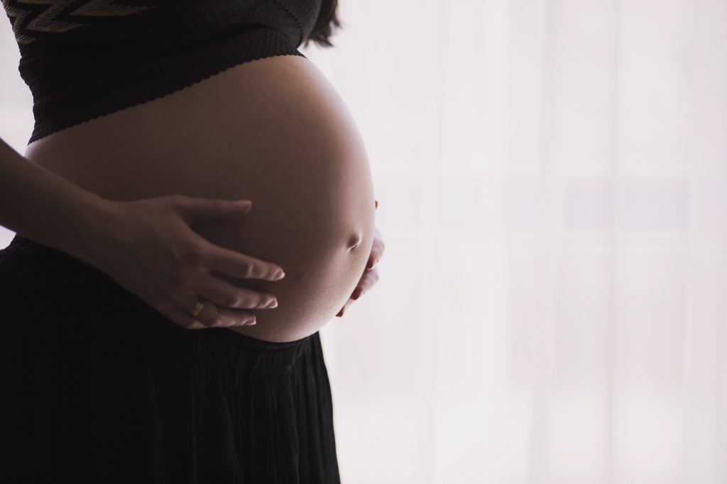 pregnant 1245703 - Centros de reproducción y su importancia