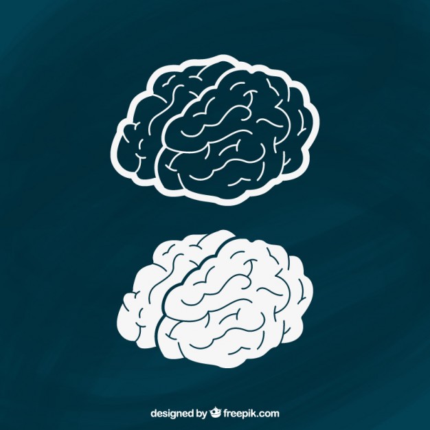 ilustración cerebro.